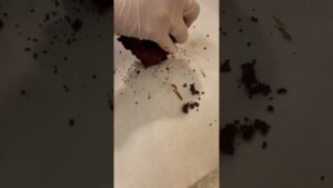 簡単手作り！ハロウィンおばけチョコの作り方