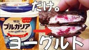 牛乳も生クリームもいらない！ヨーグルトアイスの作り方。ヘルシーーー✨