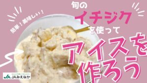 【凍らせたイチジクで】簡単！美味しい！イチジクアイス🍨を作ろう！
