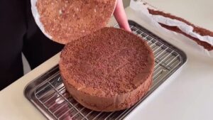 ふわふわとろけるティラミスケーキ作り方！すごく簡単！超濃厚！
