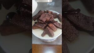 アイスとチョコラスクにチョコソース合わせたら美味すぎた