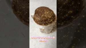 栄養満点＆カロリー控えめ♡ココアシフォンケーキ 様