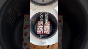 【炊飯器アポロスコーン】