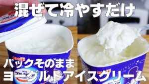 【材料2つ】混ぜて冷やすだけ！パックそのままヨーグルトアイス作り方！ / 【syun cooking】