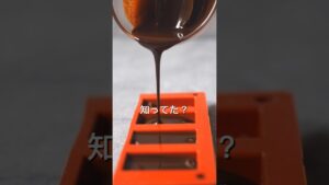 ラムレーズンチョコ