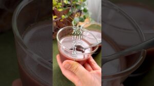 限界まで水分を増やした【とろける水ようかん】