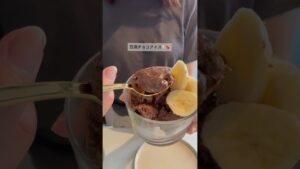 豆腐チョコアイス🍫