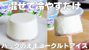 【材料3つ】混ぜて冷やすだけ！パックそのままヨーグルトアイス作り方！ / 【syun cooking】