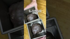 生チョコ食パン