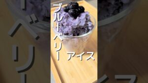【ブルーベリーアイス】