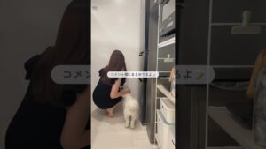 食欲の秋を乗り切るヘルシーさつまいもアイス🍠🍨