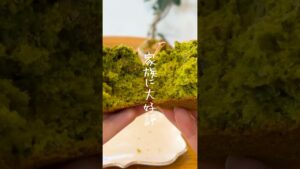 【家族大絶賛】🍫抹茶チョコマフィンの作り方・レシピ