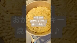 【４毒抜き】おやつにクッキーが食べた過ぎてレシピ見ずに完全創作してみたホイップママだが、、