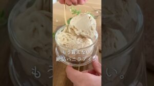 自家製バニラアイスの作り方🍨材料３つだけで絶品💖