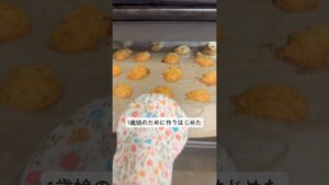 オートミール✖️米粉のグルテンフリークッキー！ダイエットのヘルシーおやつにもぴったり♡  #健康美 #自然派ママ #無添加レシピ-#腸活#こどものおやつ -#ダイエットレシピ #ヘルシーレシピ