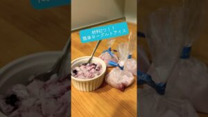 材料2つ！簡単ヨーグルトアイス