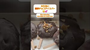 【Shorts動画】太らない濃厚チョコレートアイスバー【Non-fattening rich chocolate ice cream bar】