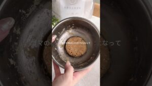 ダイエットのご褒美に！混ぜるだけの簡単プロテインクッキー