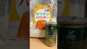 ｼﾞﾝｼﾞｬｰｴｰﾙでｼｭﾜｼｭﾜｾﾞﾘｰ作ってみたら最高に美味しかったのよ👨‍🍳💕