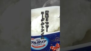 【材料3つ】濃厚ヨーグルトアイスの作り方