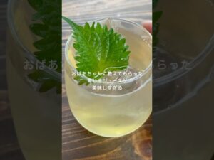 一日一杯で痩せる！青じそジュース！