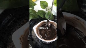パリパリ生チョコ風
