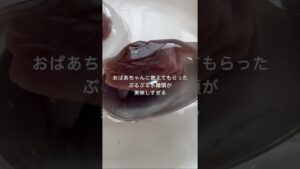 ぷるぷるスライム水まんじゅう