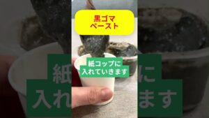 ハロウィンアイスバー🎃【テキトーレシピ】水切りヨーグルトでアイスバー