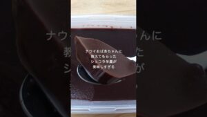 ショコラようかん！簡単に作れておいしい！