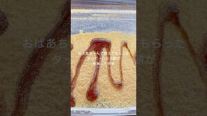 材料２つ！タッパーでレンジでチンだけ！わらび餅の簡単な作り方！シンプルが一番うまい！ #お菓子作り #shorts  #簡単レシピ