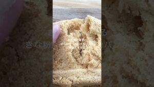 きな粉米粉パン！タッパーでレンジでチンだけ！簡単な作り方！シンプルが一番うまい！ #パン #shorts  #簡単レシピ