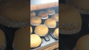 ◾︎型なし、バターなし、トースターで簡単ミニタルト