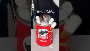 【正気じゃない】ポテチにアイス入れたら意味わからん美味