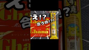 うす焼き煎餅にチョコを流し込んでみたら…ザクッ🤣✨切った断面まで可愛くて、家族にも大好評でした🥰味は…“アレ”の塩味版かも？🤣♪#チョコ #お菓子作り #アレンジレシピ #Shorts #ブルボンプチ