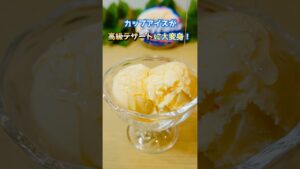 【至高】カップアイスが高級デザートに!!簡単アレンジ!ハニーソルトアイス!#shorts #簡単スイーツレシピ #アレンジレシピ #高級感 #管理栄養士レシピ