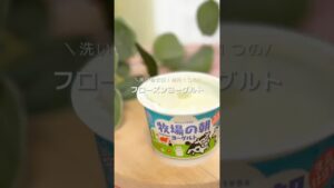 洗い物ゼロ！材料１つのフローズンヨーグルト