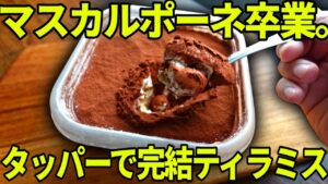 【マスカルポーネ不要】タッパーに作れる濃厚節約ティラミスがうますぎる…【お菓子作り】