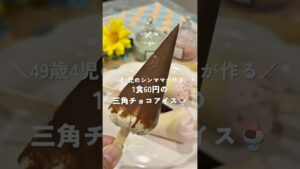 1本60円の三角チョコアイス