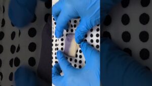【和菓子職人直伝】ボカシ技巧で「あじさい」を格上げ！単色から卒業して高級感を出すプロの技法 紫陽花の和菓子  #手作り和菓子 #和菓子作り hydrangea wagashi