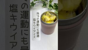 外での運動にも最適 / 塩キウイアイス