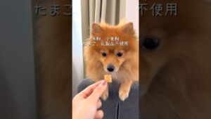 無添加きな粉クッキー