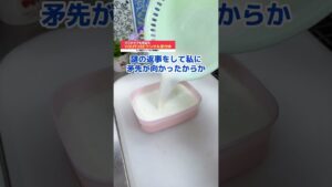 いじめ対策｜巨大きな粉ミルクプリンの作り方 #shorts #料理 #簡単レシピ #お菓子