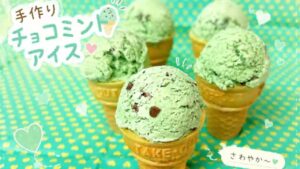 チョコミン党必見！手作りチョコミントアイス💚💙【作り方】