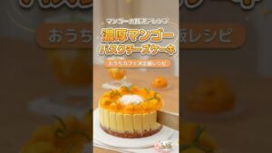 お店レベルの美味しさ！マンゴーバスクチーズケーキの作り方 #マンゴーバスクチーズケーキ #バスクチーズケーキ #マンゴースイーツ #おうちカフェ #手作りケーキ #チーズケーキレシピ #お菓子作り