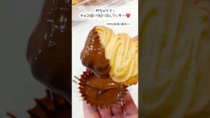 めちゃウマ❤️チョコ掛け絞り出しクッキー♪レシピあり❣️ぜひ作ってみてね🥰 #お菓子作り #絞り出しクッキー　#チョコレートクッキー