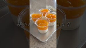 缶詰で作る🍊簡単！みかんのパンナコッタ