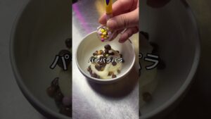 チョコ×たべっ子どうぶつ×クーリッシュ #tiktok #コンビニアレンジ #youtubeshorts #駄菓子 #レシピ動画