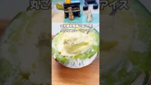 丸ごとメロンアイスの作り方