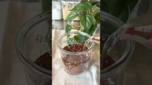 #チョコ麹#麹レシピ#無添加レシピ
