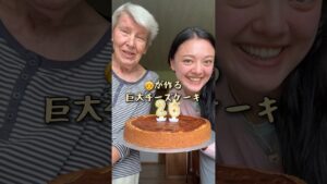 ドイツのおばあちゃんが作る巨大チーズケーキのレシピです🧀🤍